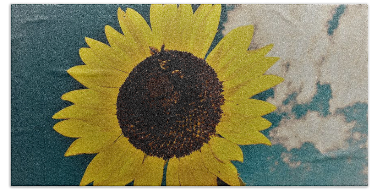 Sun Bath Towel featuring the photograph Sunflower by Randy Sylvia
