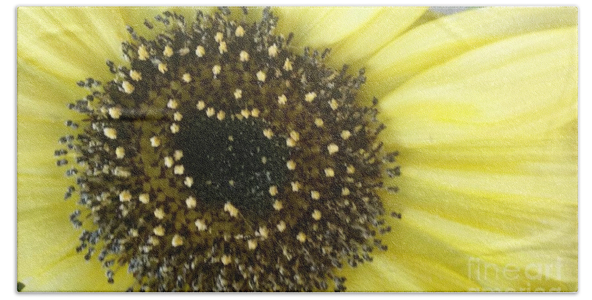 Sunflower Hand Towel featuring the photograph Sunflower by Seaux-N-Seau Soileau
