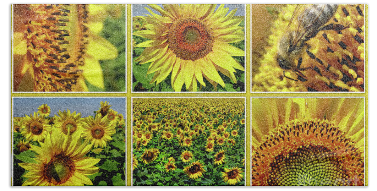 Sunflower Bath Towel featuring the photograph Sunflower Story - Collage by Daliana Pacuraru