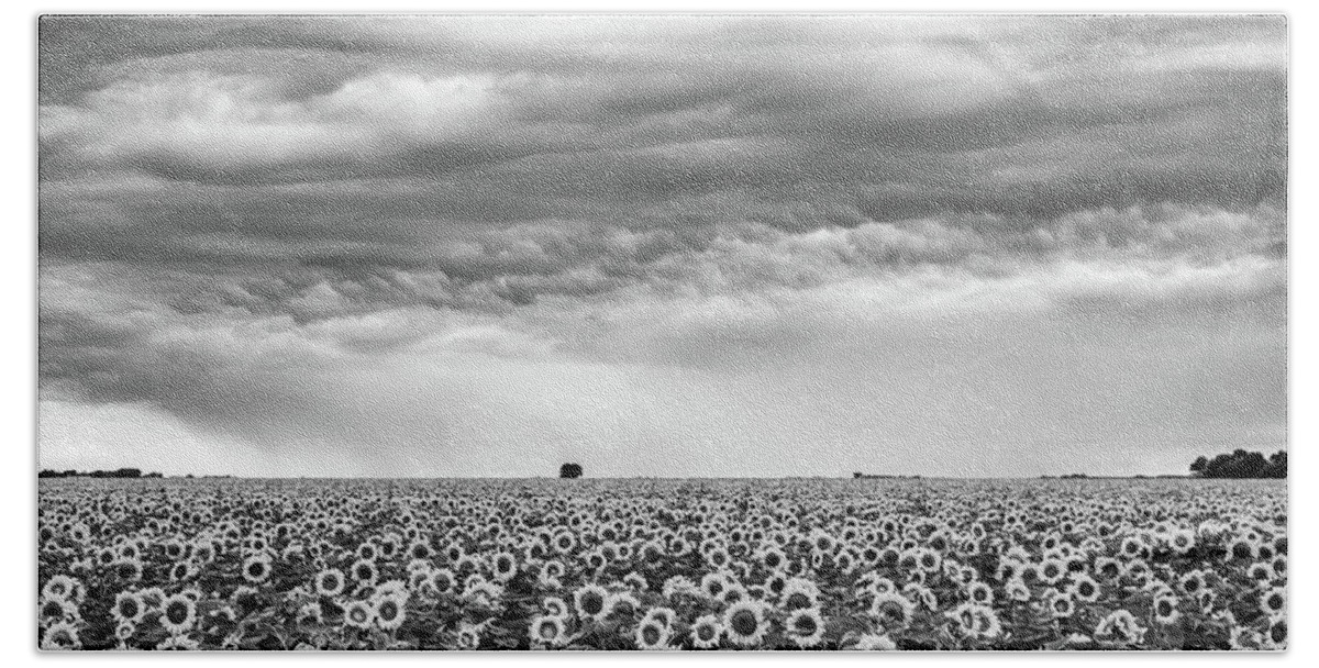 Landscapes Bath Towel featuring the photograph Sunflowers and Rain Showers by Penny Meyers