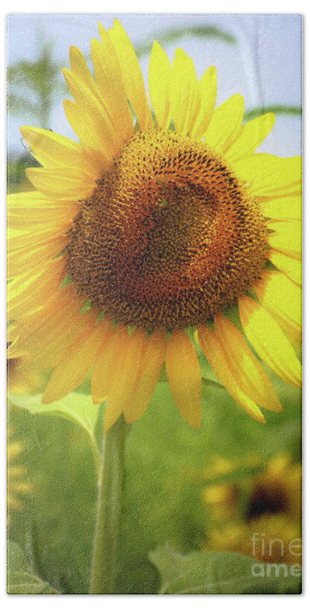 Sunflowers Bath Towel featuring the photograph Sunflowers in Memphis II by Veronica Batterson
