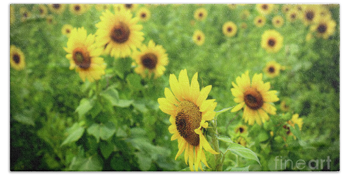 Sunflowers Bath Towel featuring the photograph Sunflowers in Memphis IV by Veronica Batterson