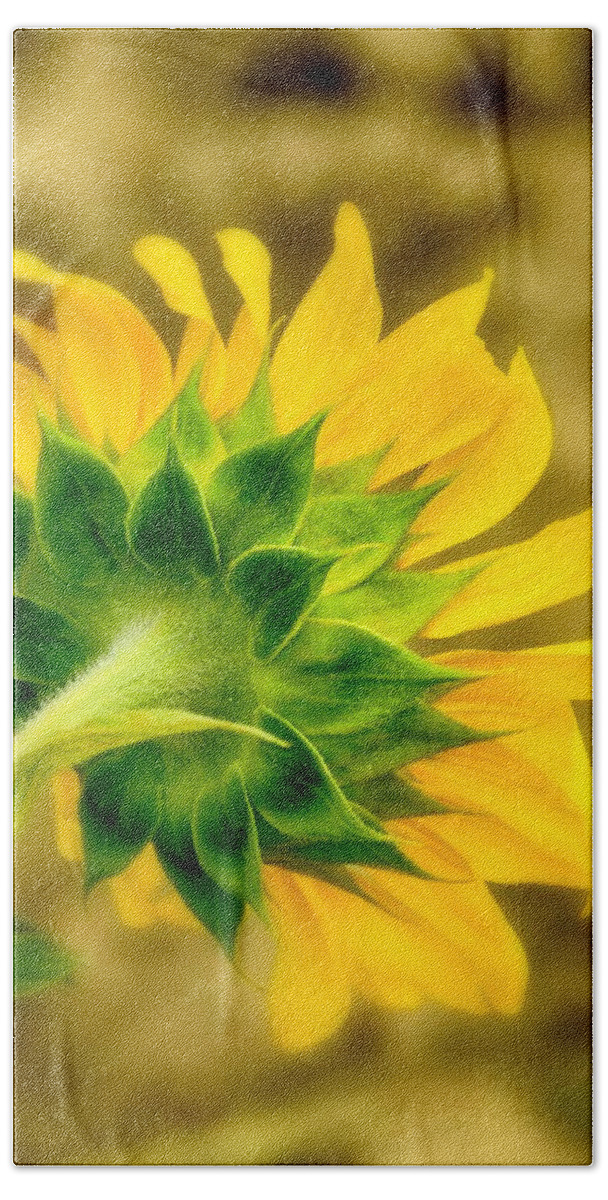 Beautiful Hand Towel featuring the photograph Sunflowers by Tricia Marchlik