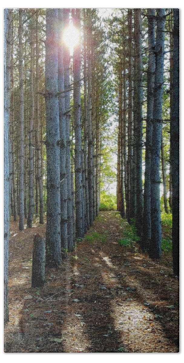 Sunlight Bath Towel featuring the photograph Sunlight Through the Forest Trees by Vic Ritchey