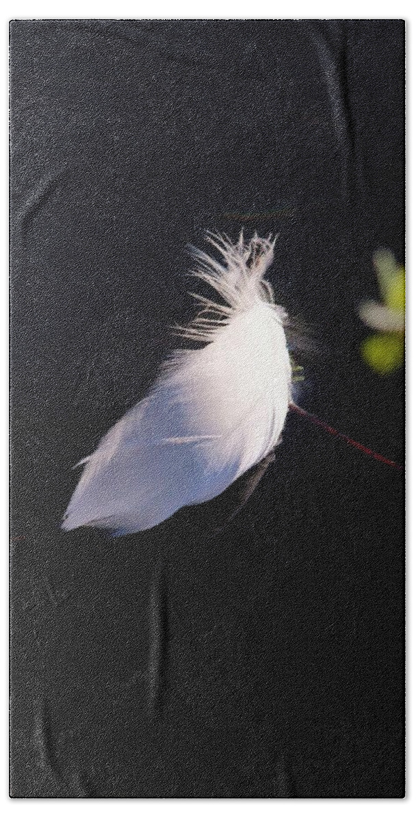 Karen Silvestri Bath Towel featuring the photograph Sunlit Feather by Karen Silvestri