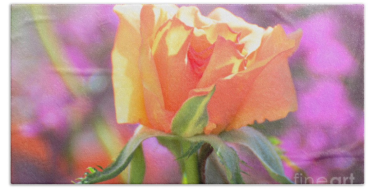 Rose Bath Towel featuring the photograph Sunlit Rose by Debby Pueschel