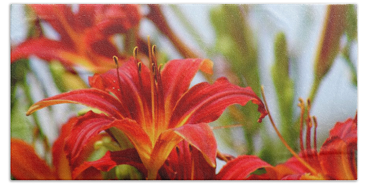Photograph Bath Towel featuring the photograph Sunning Red Day Lilies by M E
