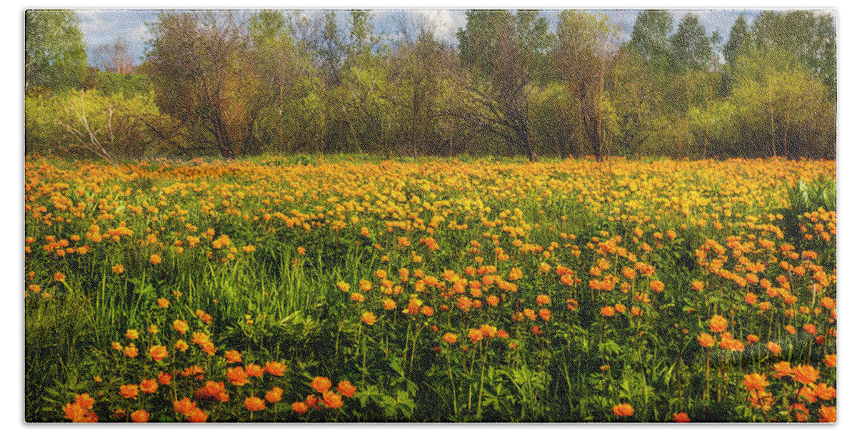 Buttercup Bath Towel featuring the photograph Sunny Buttercups Field. Altai by Victor Kovchin