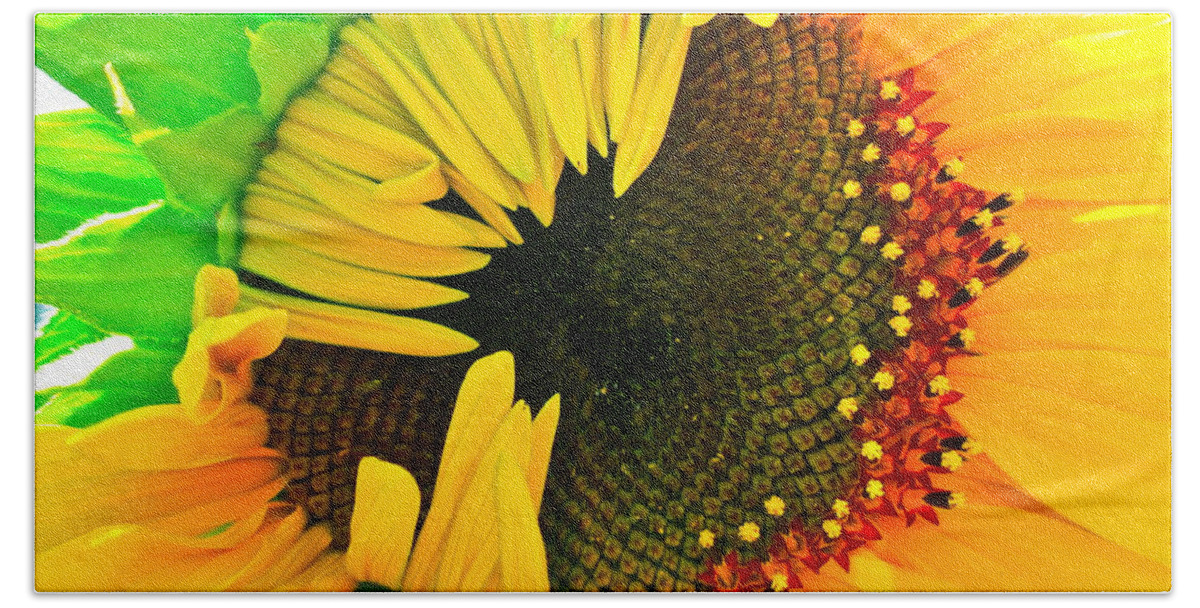 Sunflower Photograph Bath Towel featuring the photograph Sunny by Gwyn Newcombe