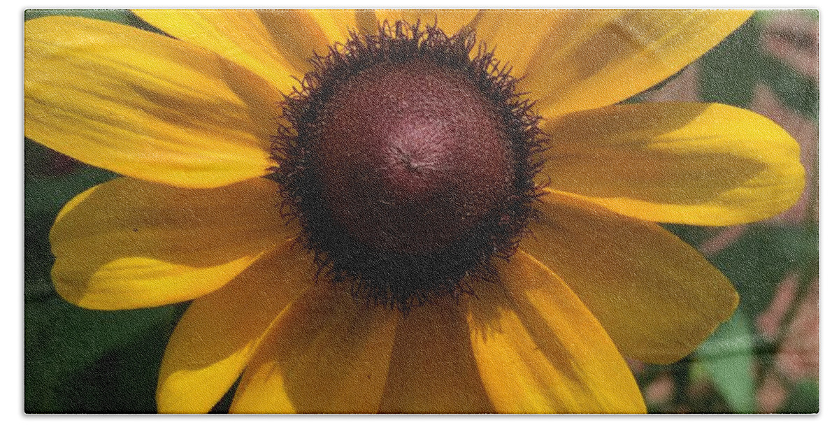 Sunflower Bath Towel featuring the photograph Sunny by Pamela Henry