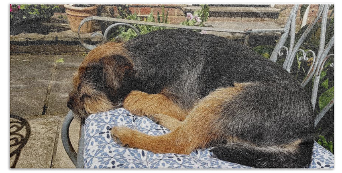 Dog Bath Towel featuring the photograph Sunny Spot by Rowena Tutty