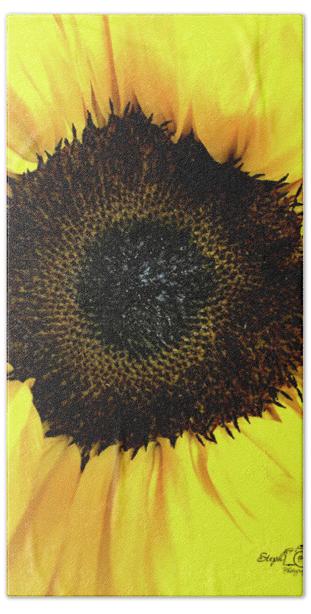 Sunflower Bath Towel featuring the photograph Sunny by Steph Gabler