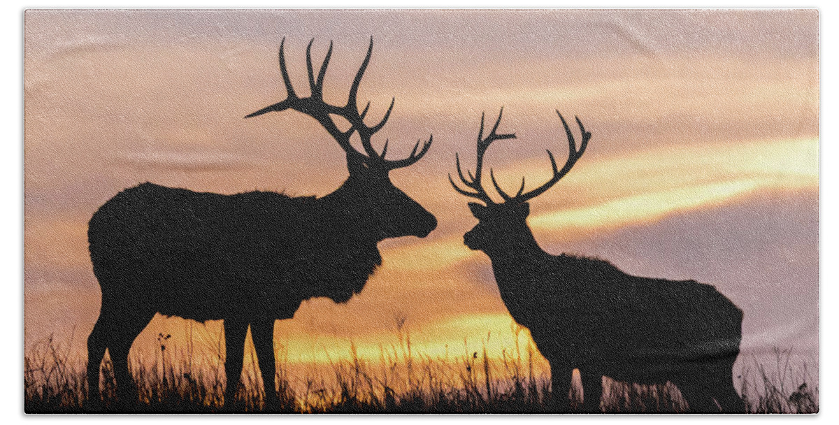 Jay Stockhaus Bath Towel featuring the photograph Sunrise by Jay Stockhaus