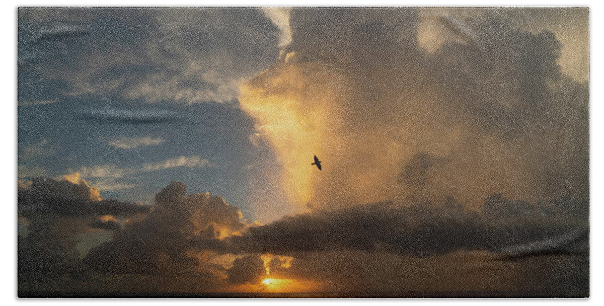 Florida Bath Towel featuring the photograph Sunrise Thunderstorm Bird Delray Beach Florida by Lawrence S Richardson Jr
