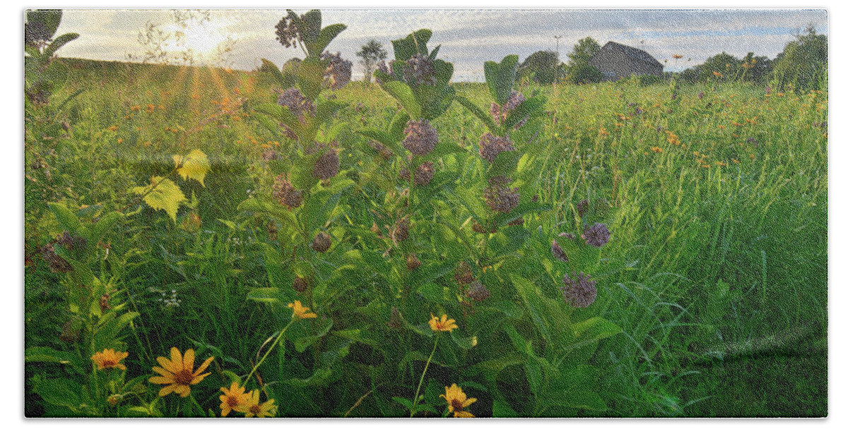 Glacial Park Bath Towel featuring the photograph Sunset Backlights Wildflowers in Glacial Park by Ray Mathis
