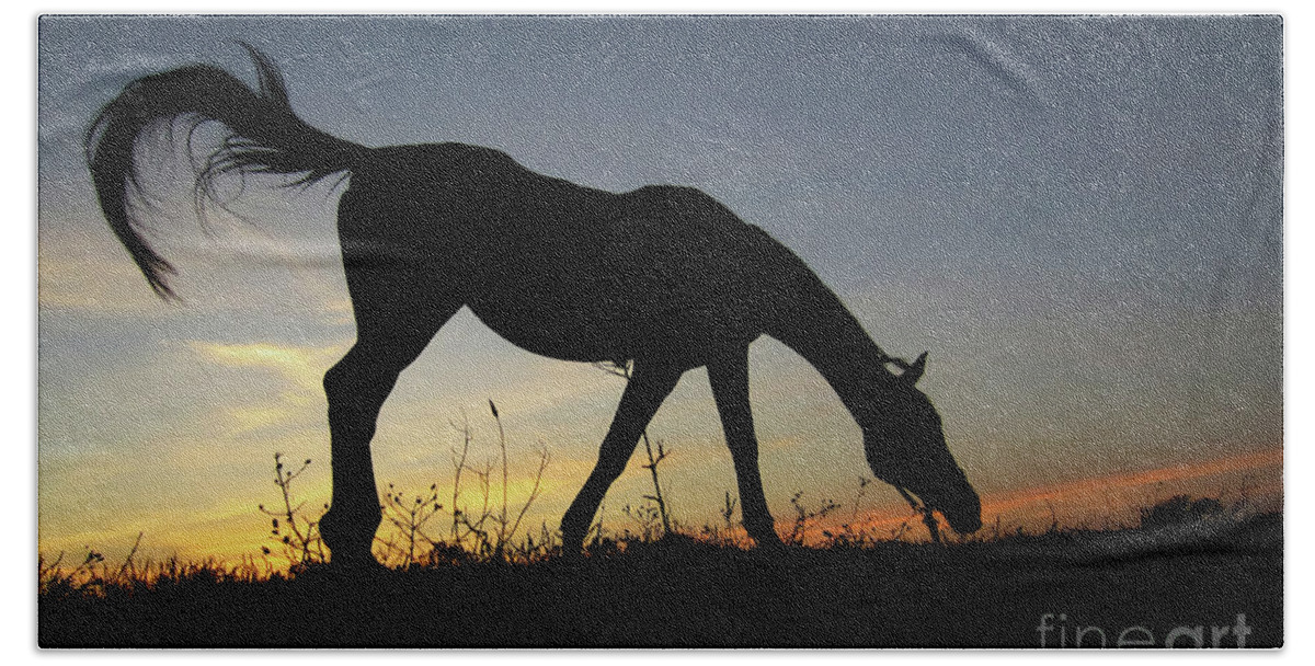 Horse Bath Towel featuring the photograph Sunset Horse by Dimitar Hristov