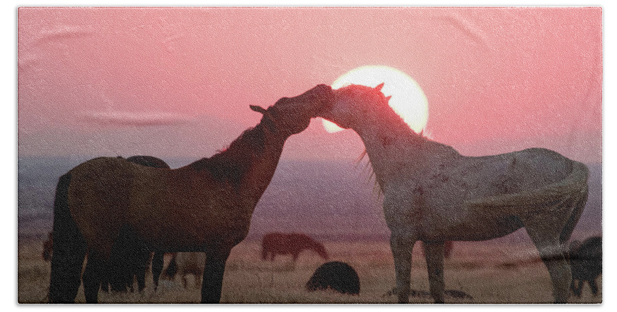 Wild Horses Bath Towel featuring the photograph Sunset Horses by Wesley Aston