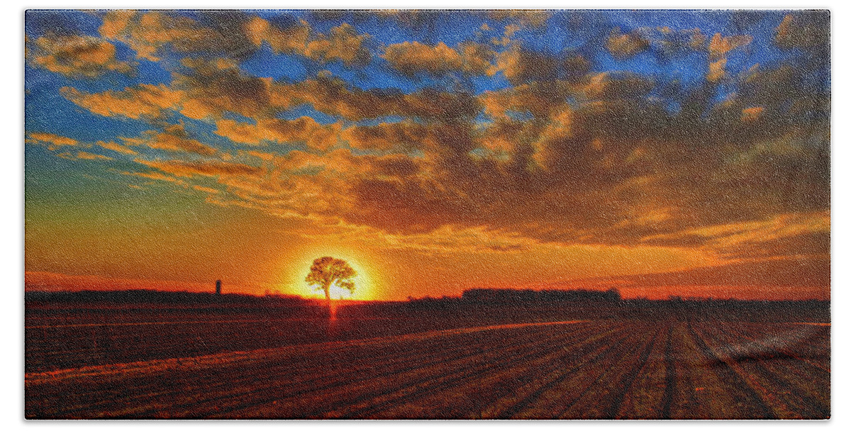 Sunset Hand Towel featuring the photograph Sunset Oak by Rod Melotte