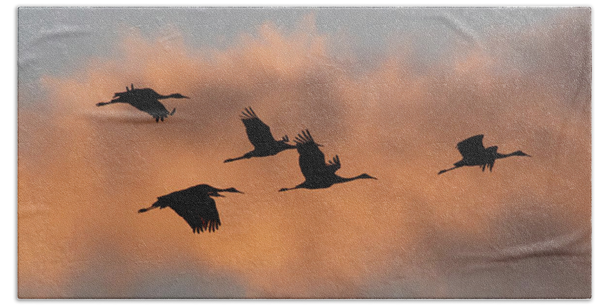 Sunset Hand Towel featuring the photograph Sunset Sandhill's by Don Anderson