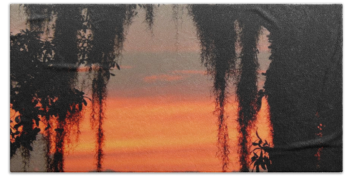 Sunset Bath Towel featuring the photograph Sunset Through The Moss by Jan Gelders