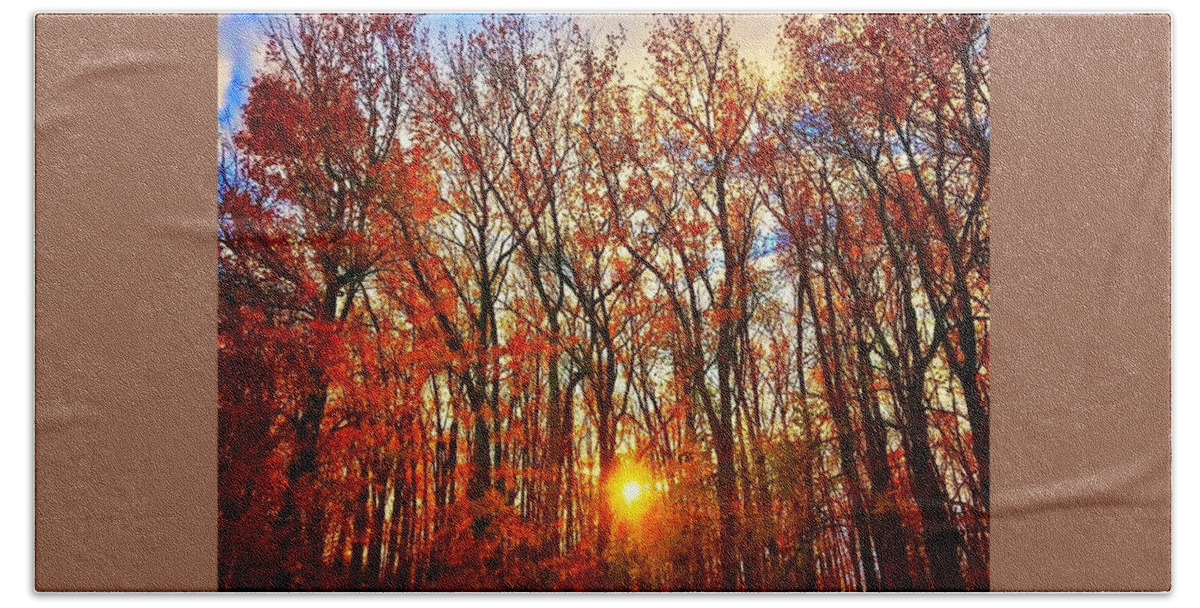 Woods Hand Towel featuring the photograph Sunset through the Woods by Shawn M Greener