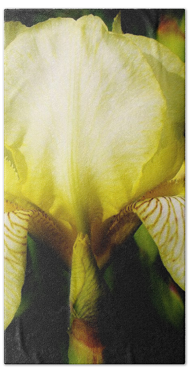 Flora Bath Towel featuring the photograph Sunshine Iris in the Graden by Bruce Bley