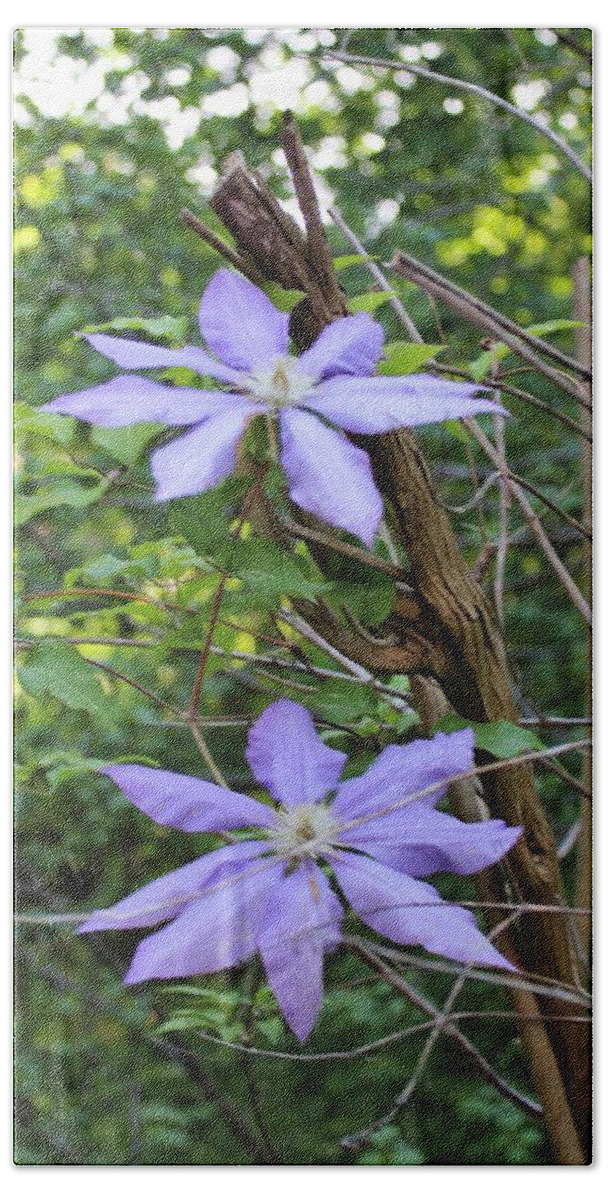 Blue Flowers Hand Towel featuring the photograph Susans Clematis by Paul Meinerth
