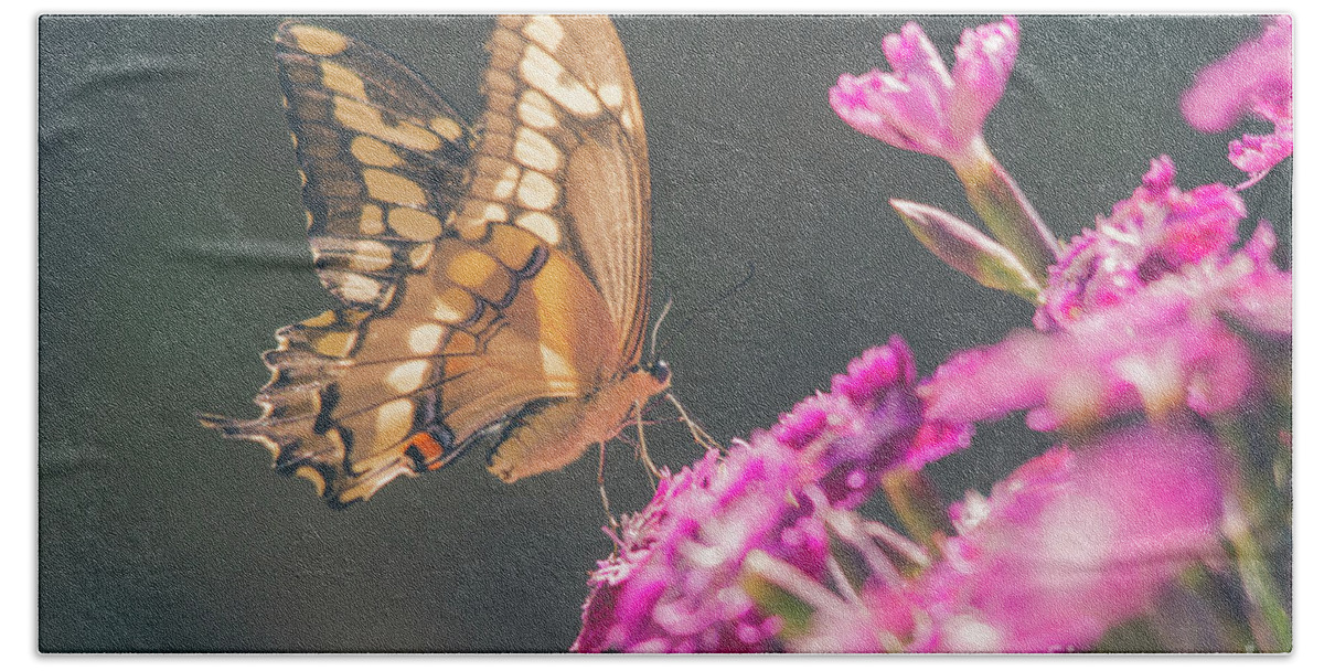 Cheryl Baxter Photography Hand Towel featuring the photograph Swallowtail Butter Fly On Dianthus by Cheryl Baxter