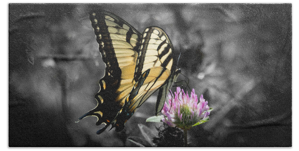 Butterfly Bath Towel featuring the photograph Swallowtail Butterfly- Color Pop by Holden The Moment