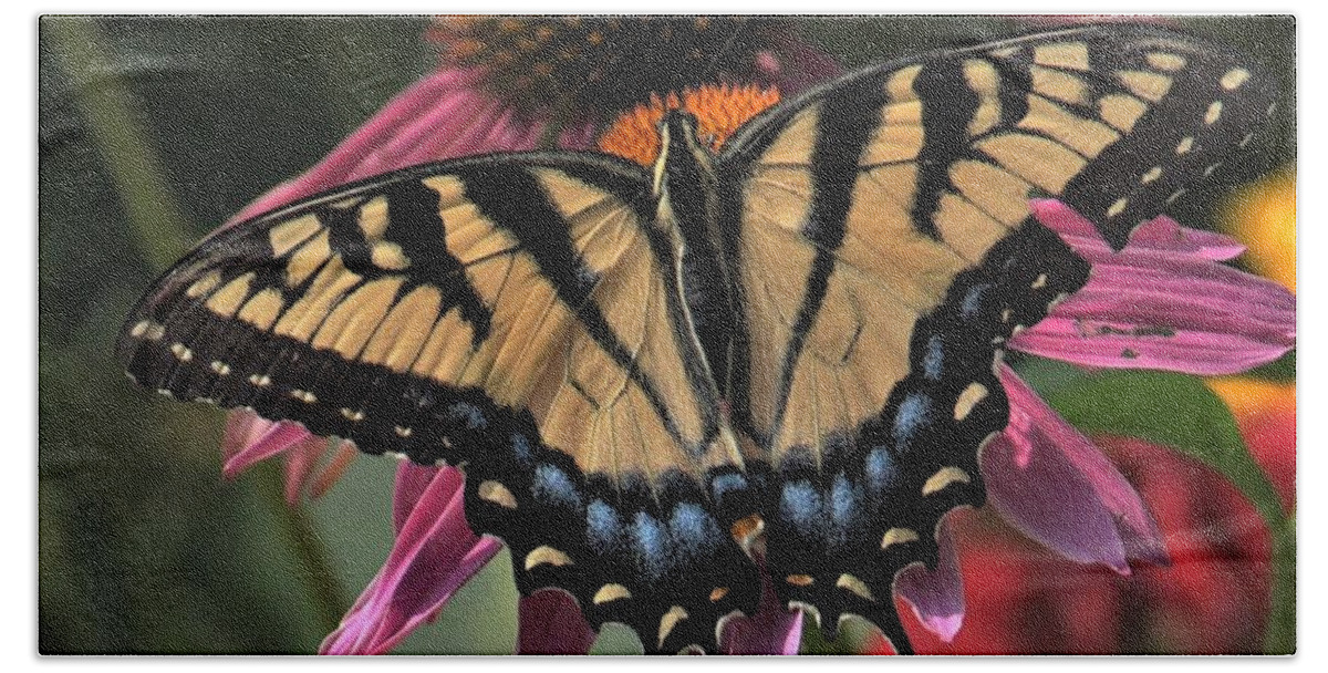 Yellow Hand Towel featuring the photograph Swallowtail in the Prarie by Michael Hall
