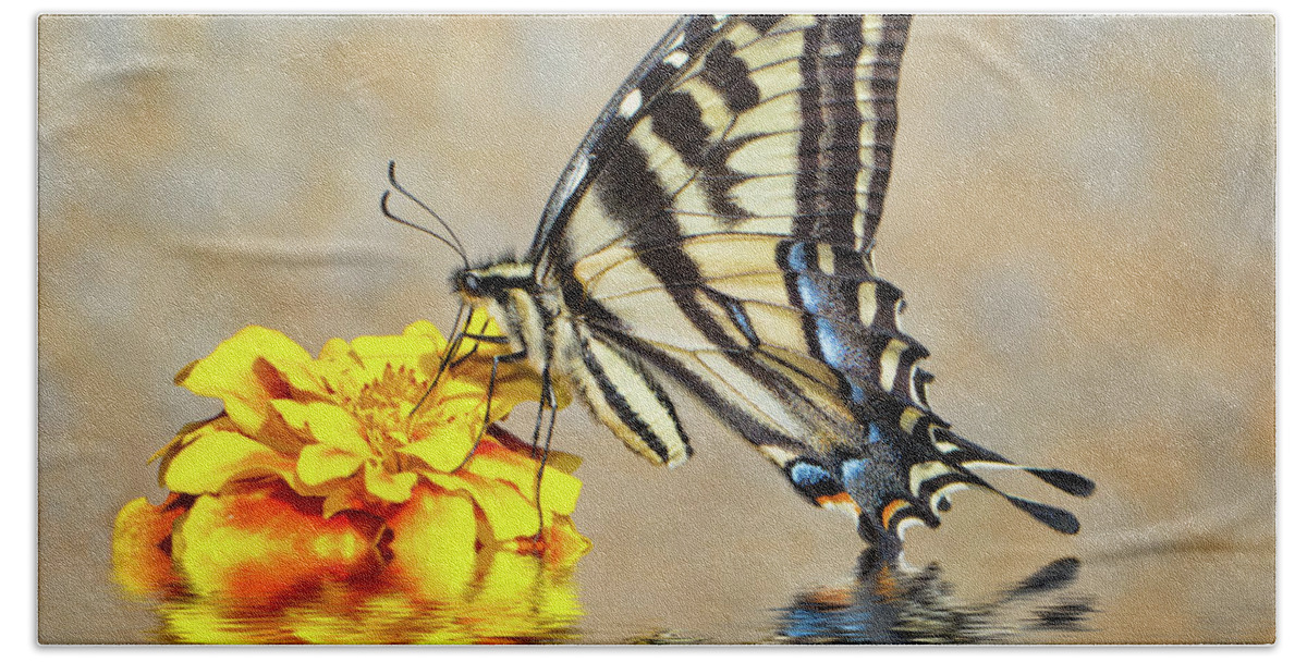 Butterfly Hand Towel featuring the photograph Swallowtail In Water by Mimi Ditchie