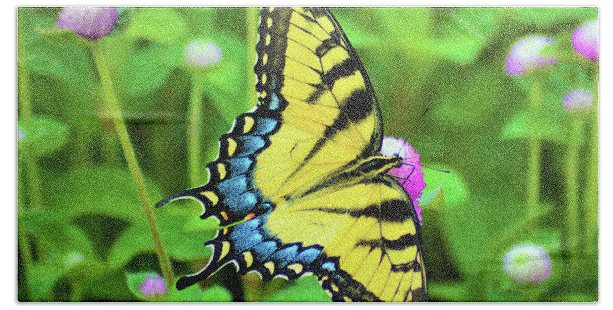 Kathy Kelly Bath Towel featuring the photograph Swallowtail on Thistle by Kathy Kelly
