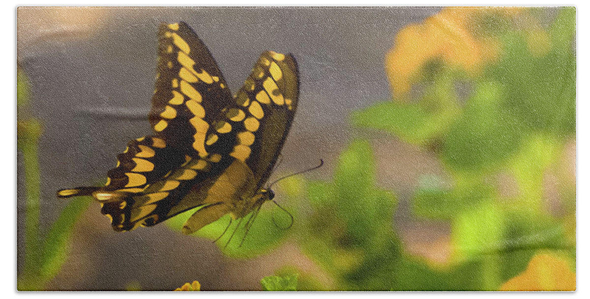 Butterfly Bath Towel featuring the photograph Swallowtail by Peggy Blackwell