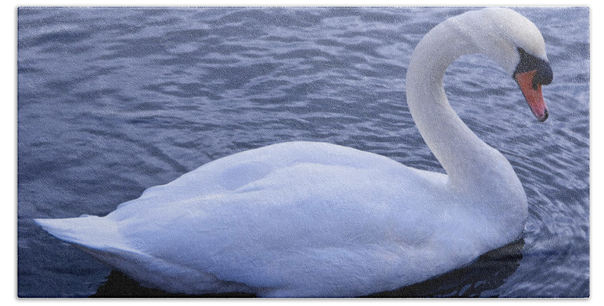 Swan Hand Towel featuring the photograph Swan 1 by Steven Natanson