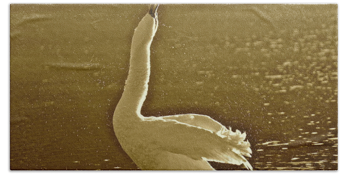 Swan Bath Towel featuring the photograph Swan Lake by Diana Hatcher