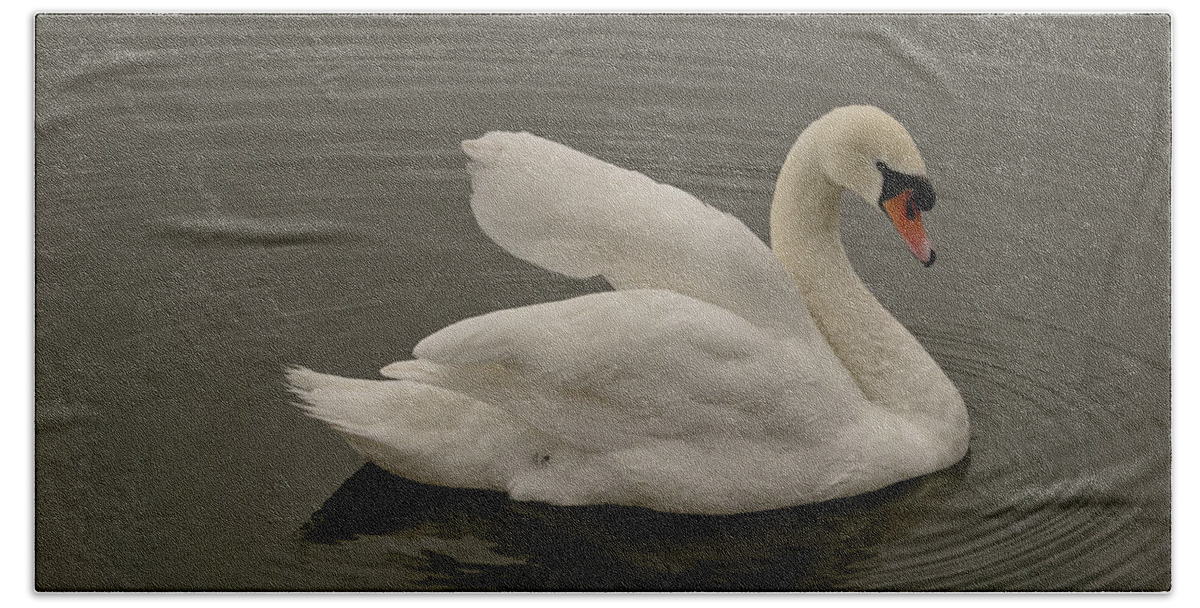 Swan Bath Towel featuring the photograph Swan move one. by Elena Perelman