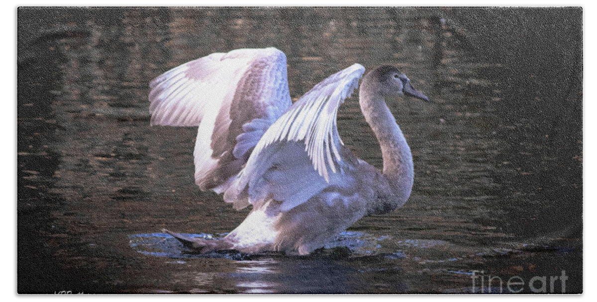 Swan Bath Towel featuring the photograph Swan Sequence Two St James Park by Veronica Batterson