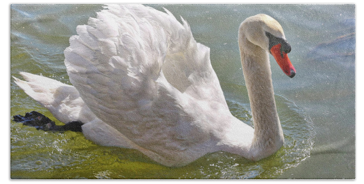 Swan Bath Towel featuring the photograph Swan Swimming By by Carol Groenen