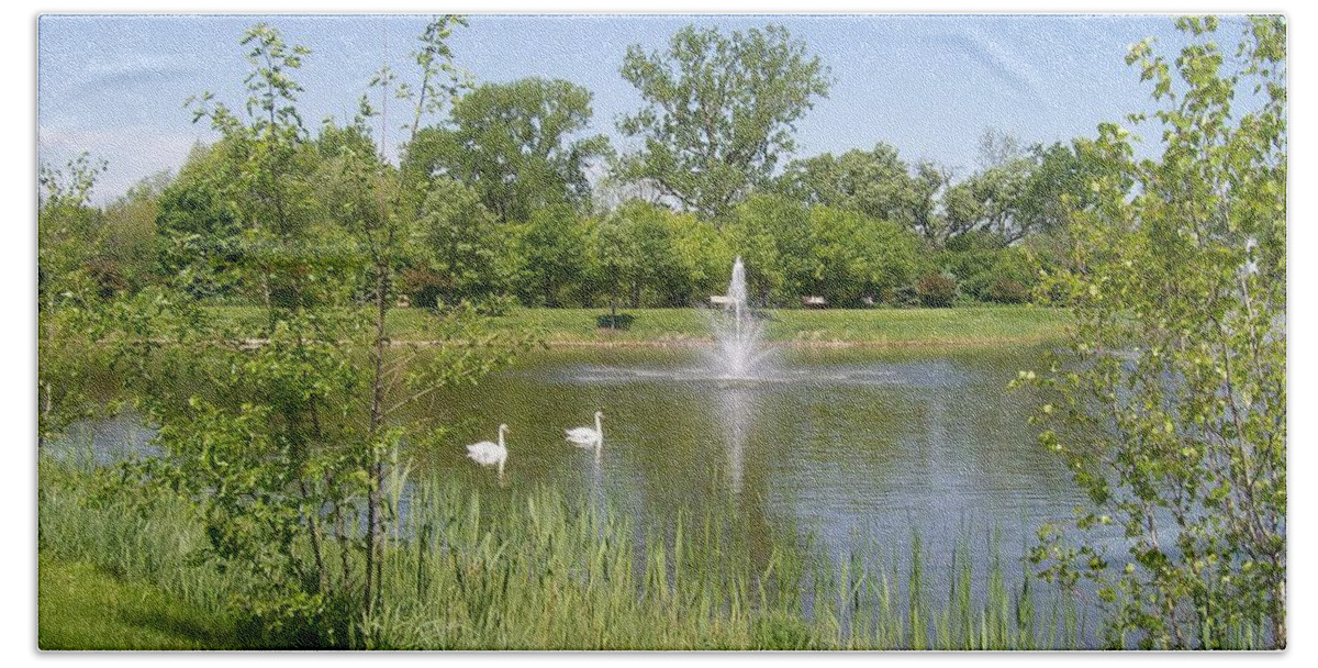 Swans Hand Towel featuring the photograph Swans and Fountains by Laurie Eve Loftin