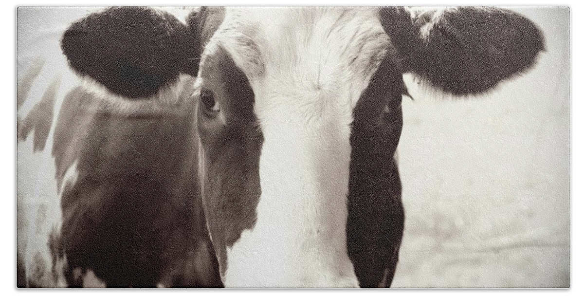 Cow Bath Towel featuring the photograph Sweet Cow Face by Carol Groenen