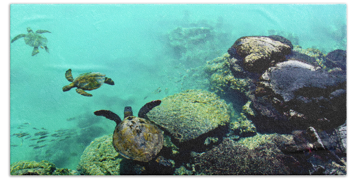 Green Sea Turtle Hand Towel featuring the photograph Swimming Honu by Christopher Johnson