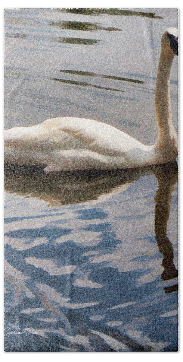 Swim Bath Towel featuring the photograph Swimming Swan by Joann Copeland-Paul