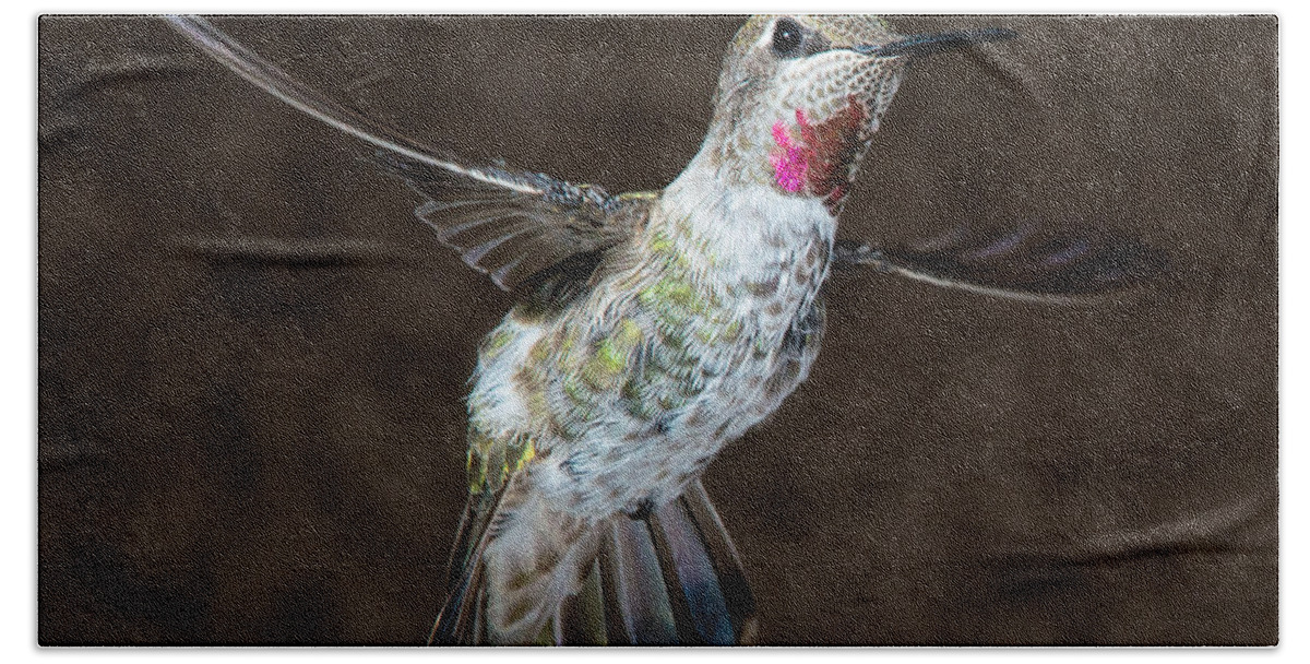 Hummingbird Bath Towel featuring the photograph Take My Good Side Please by Patrick Campbell