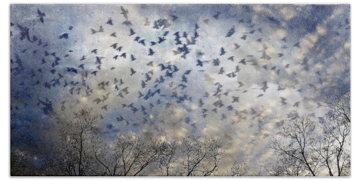 Skyscapes Hand Towel featuring the photograph Taken Flight by Jan Amiss Photography