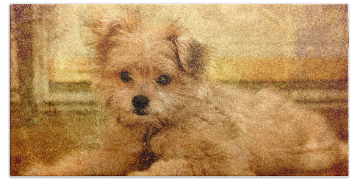 Puppies Hand Towel featuring the photograph Taking A Break by Angie Tirado
