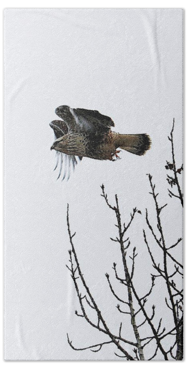 Hawk Bath Towel featuring the photograph Taking off by Kathleen Voort
