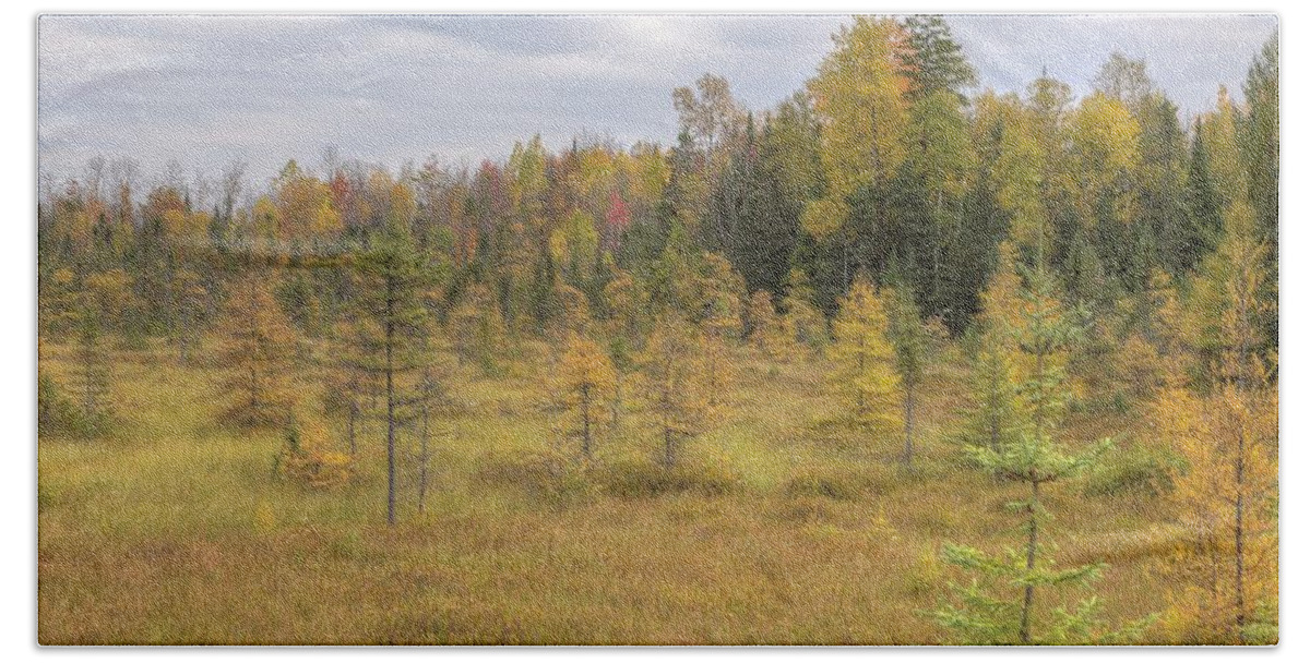 Fall Bath Towel featuring the photograph Tamarack Field Fall Color, Northern Wisconsin by Paul Schultz