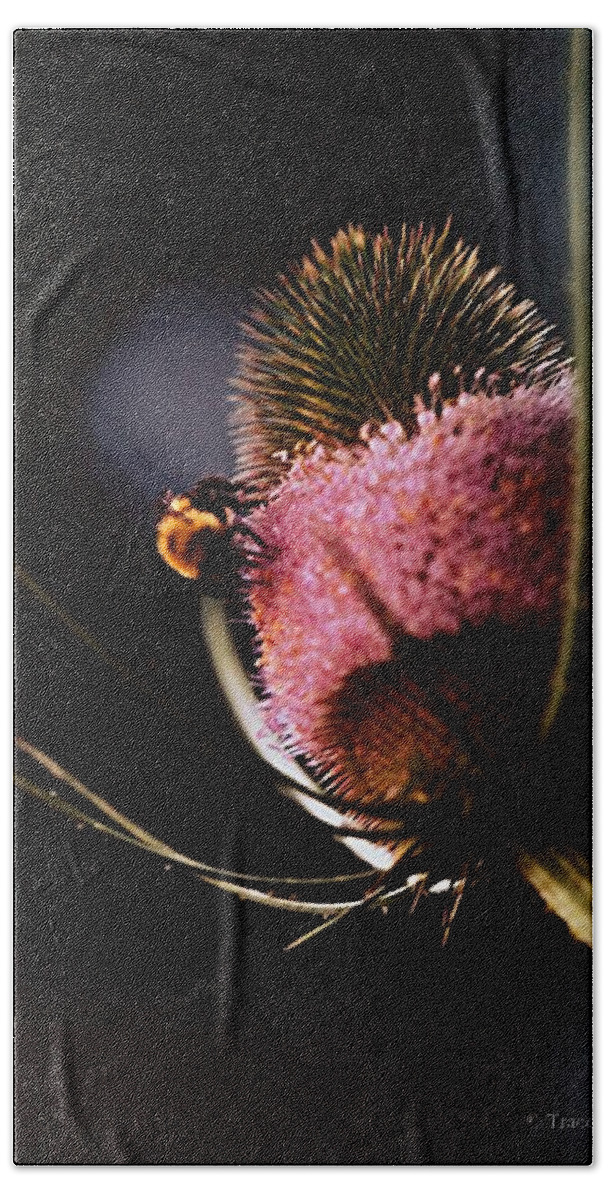 Floral Bath Towel featuring the photograph Teasel with Bee by Tracey Vivar
