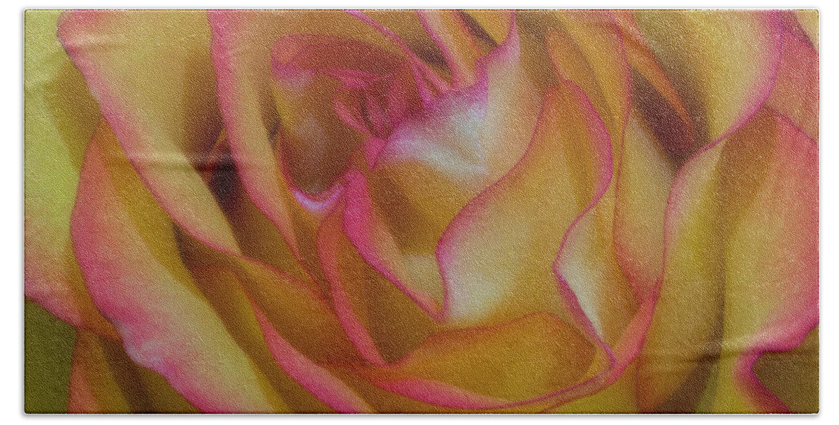 Rose Bath Towel featuring the photograph Technicolor Rose by John Roach