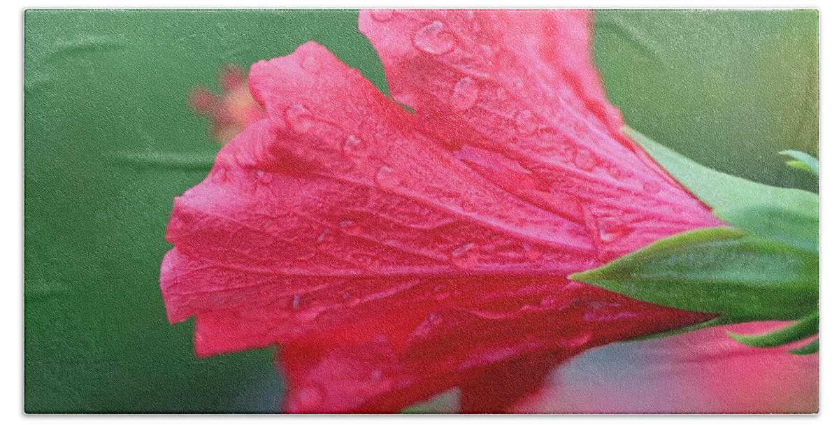 Hibiscus Hand Towel featuring the photograph Tender Tears by Michiale Schneider